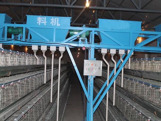 厂家直供蛋鸡全自动喂料机